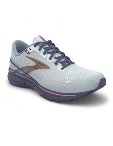 Womens Brooks Running Ghost 15 in Spa Blue/Neo Pink/Copper 2024