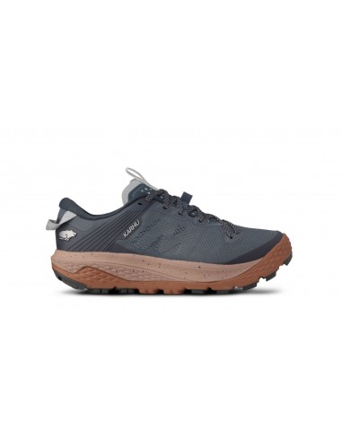 MEN'S IKONI TRAIL 1.0 - STORMY WEATHER / RUGBY TAN 2023