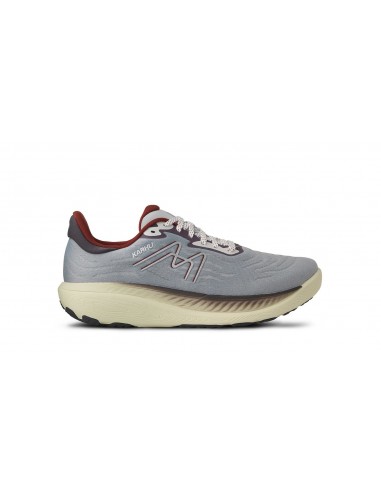 MEN'S IKONI 3.0 - QUARRY / CABERNET la livraison gratuite